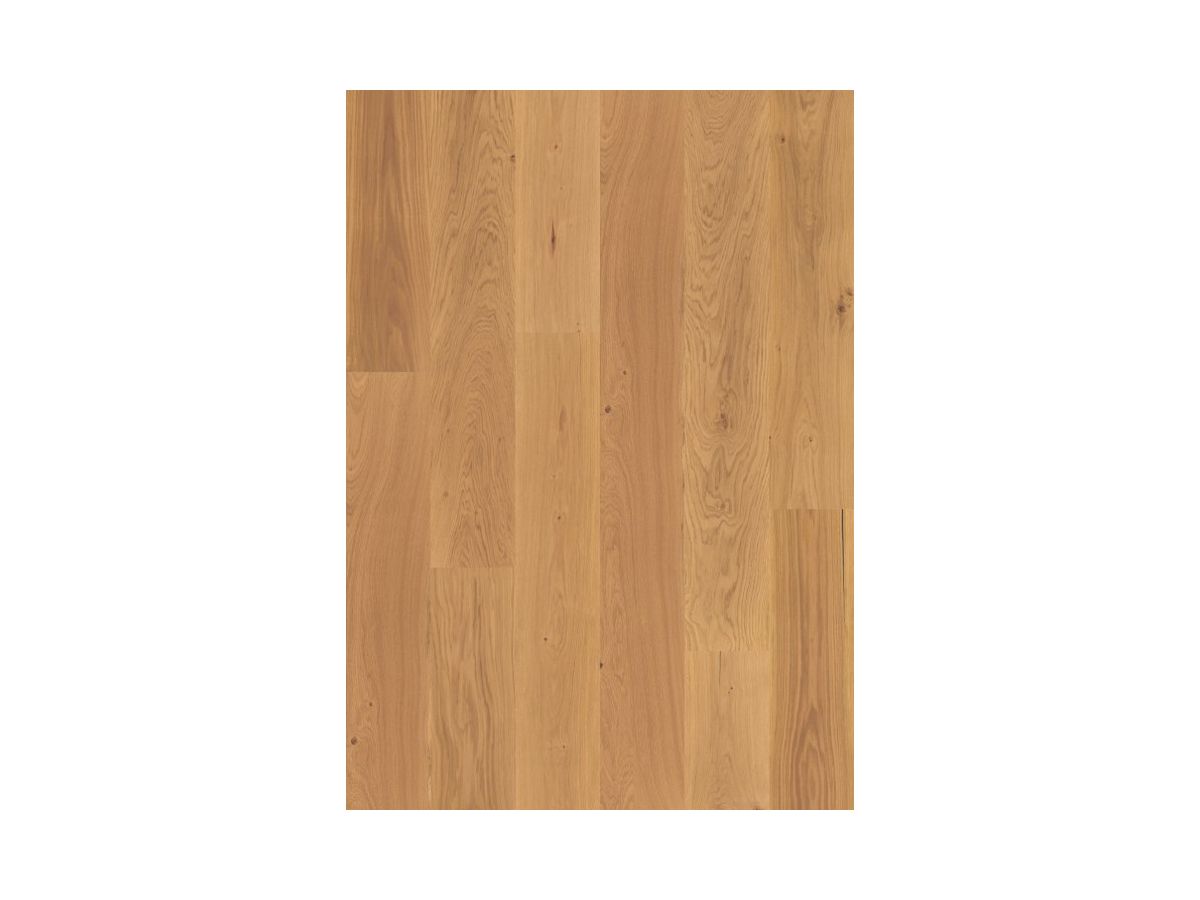 Design Korkboden Corelan Klebefliese Catalina Eiche Strukturiert glatte Kante HotCoating Lack