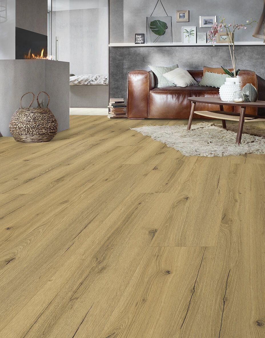 Designboden QUALIWOOD FORTIS Solid Core mit Trittschall Eiche Erica ...