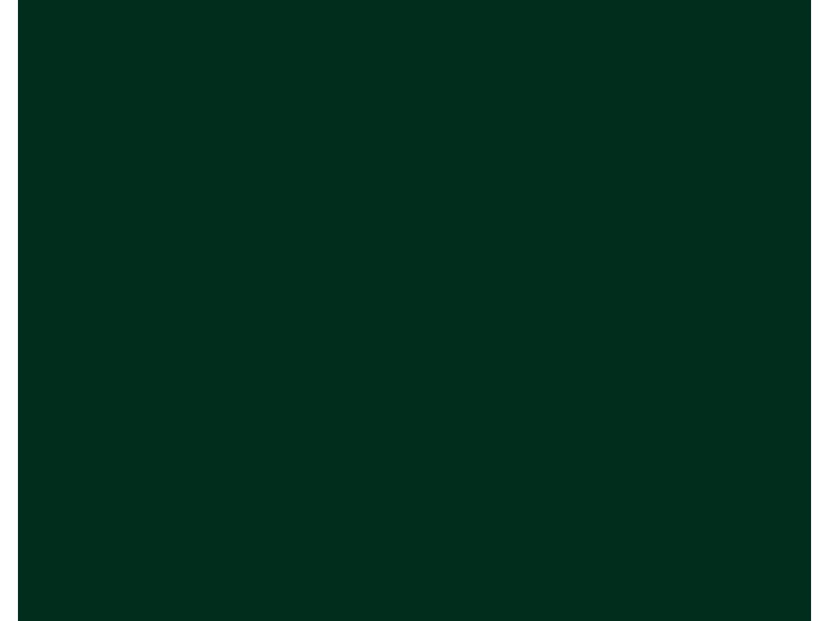Fassade Platte Rockpanel Uni Standard RAL 6009 Tannengrün Durable RF1