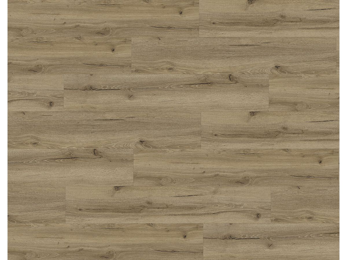 Designboden QUALIWOOD FORTIS Klebediele Eiche Ilex Synchronprägung