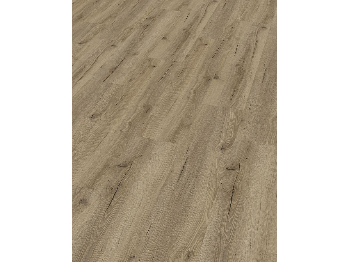 Designboden QUALIWOOD FORTIS Klebediele Eiche Ilex Synchronprägung
