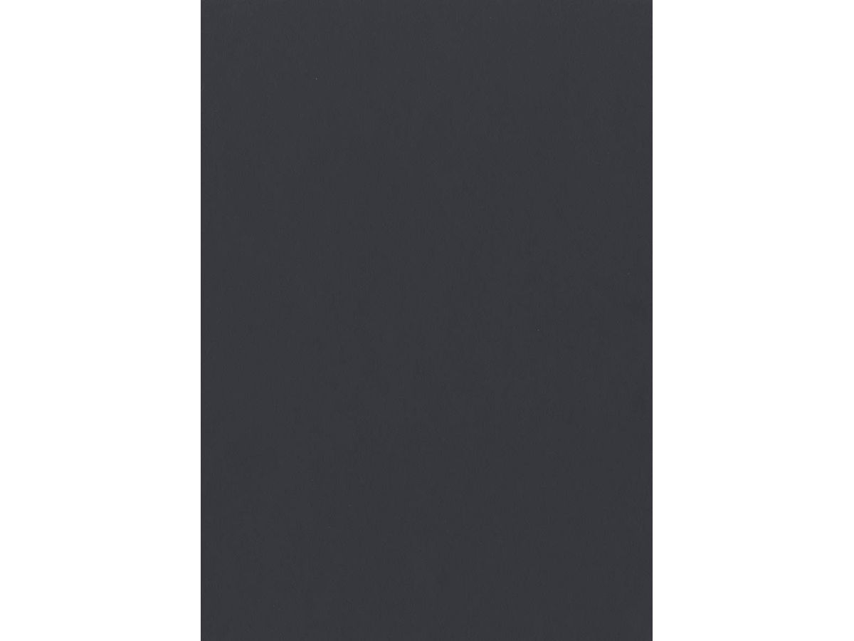 Kante ABS passend zu Egger U968 Karbongrau ST9 Smoothtouch Matt