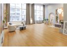 Vinyl QUALIWOOD AMBIENTE HDF Klick mit Trittschall Holz Lärche Linard