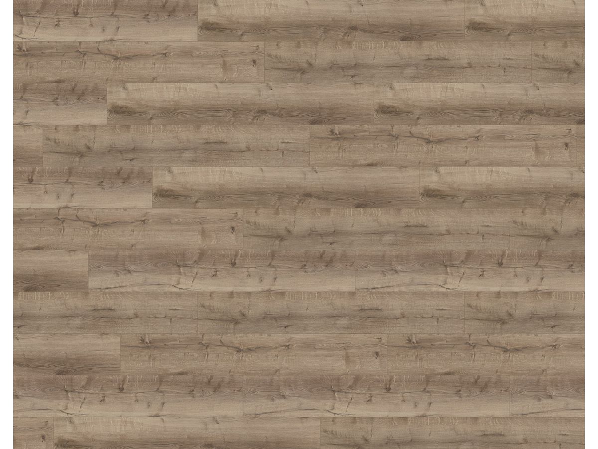 Designboden Vinyl Wineo 400 mit Trittschall Klick Wood XL MLD300WXL Comfort Oak Taupe