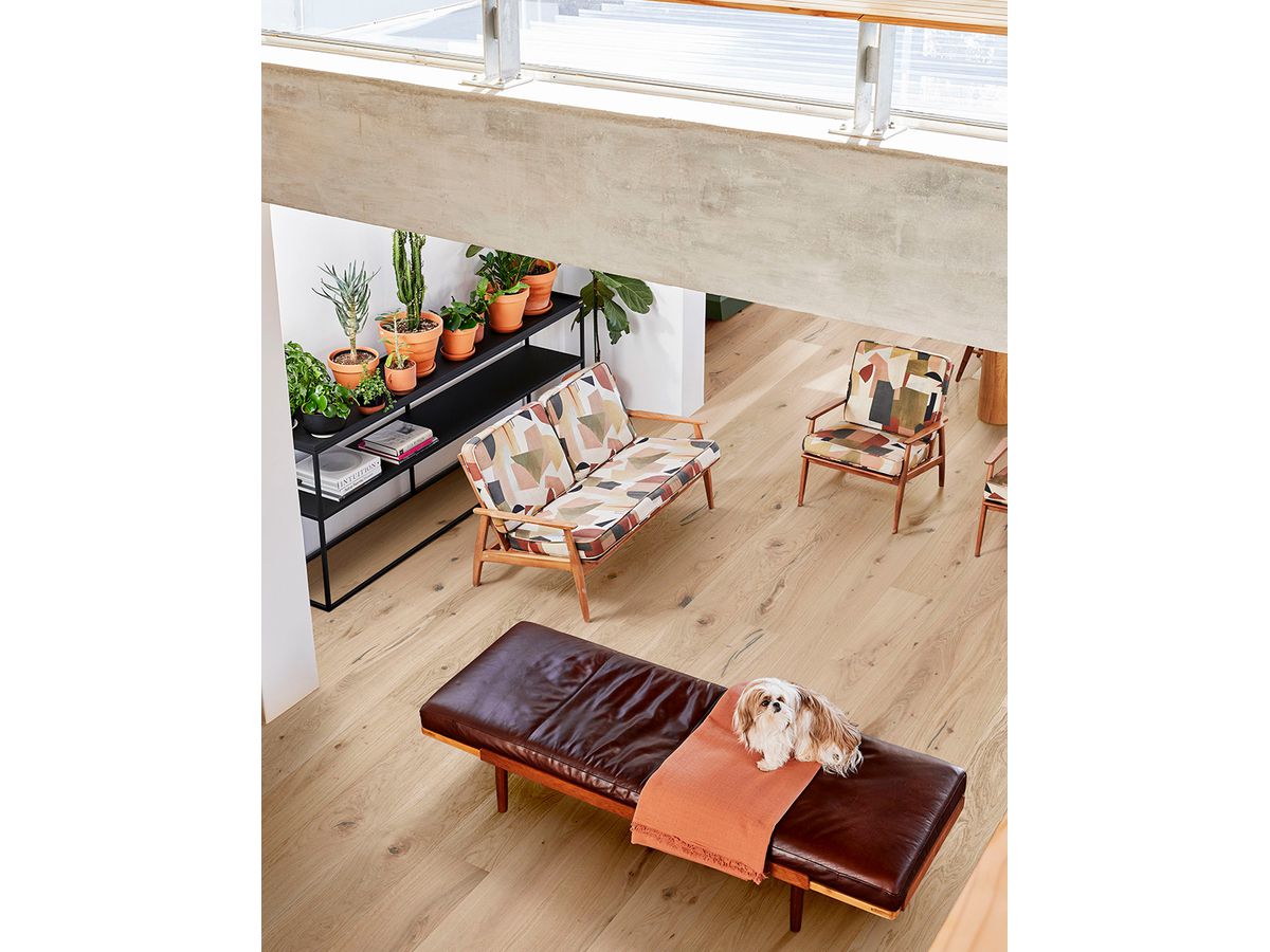 Parkett QUALIWOOD NORDIC Freyja Eiche cremeweiss rustikal gebürstet Microfase Naturöl