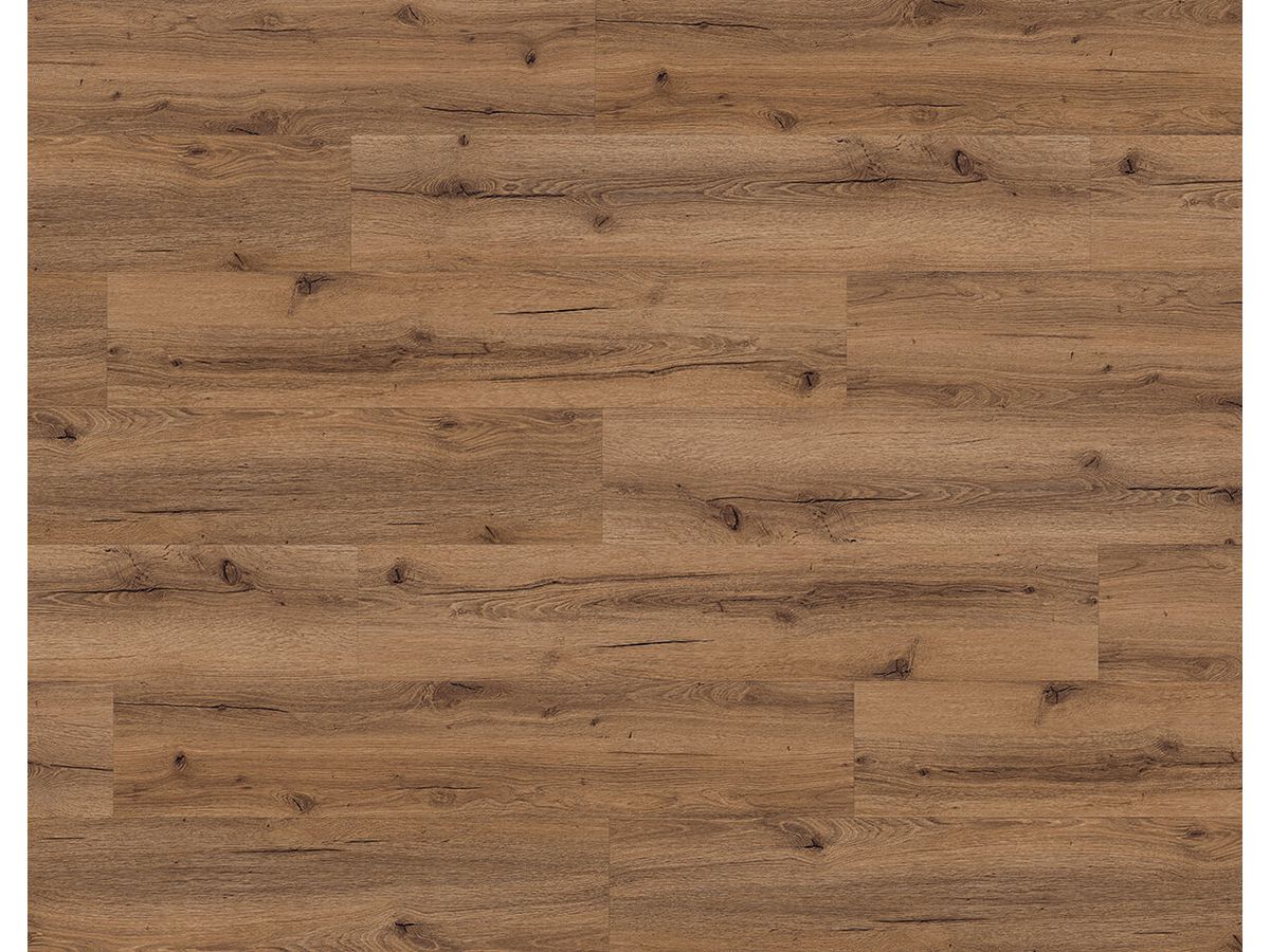 Designboden QUALIWOOD FORTIS Klebediele Eiche Pyrus Synchronprägung