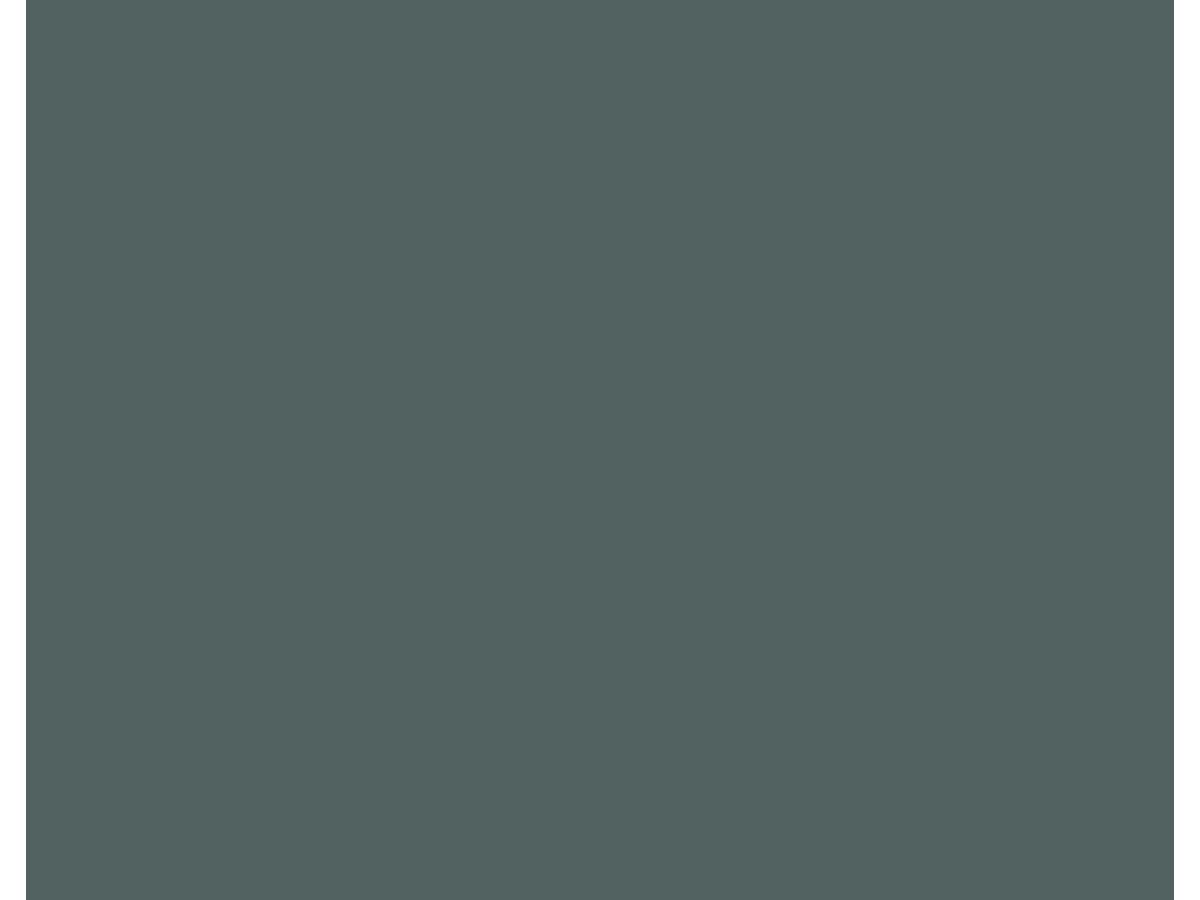 MDF Platte beschichtet 1-seitig Lackplatte PerfectSense Premium U665 Steingrün PM Matt RS=ST9 Egger E1E05