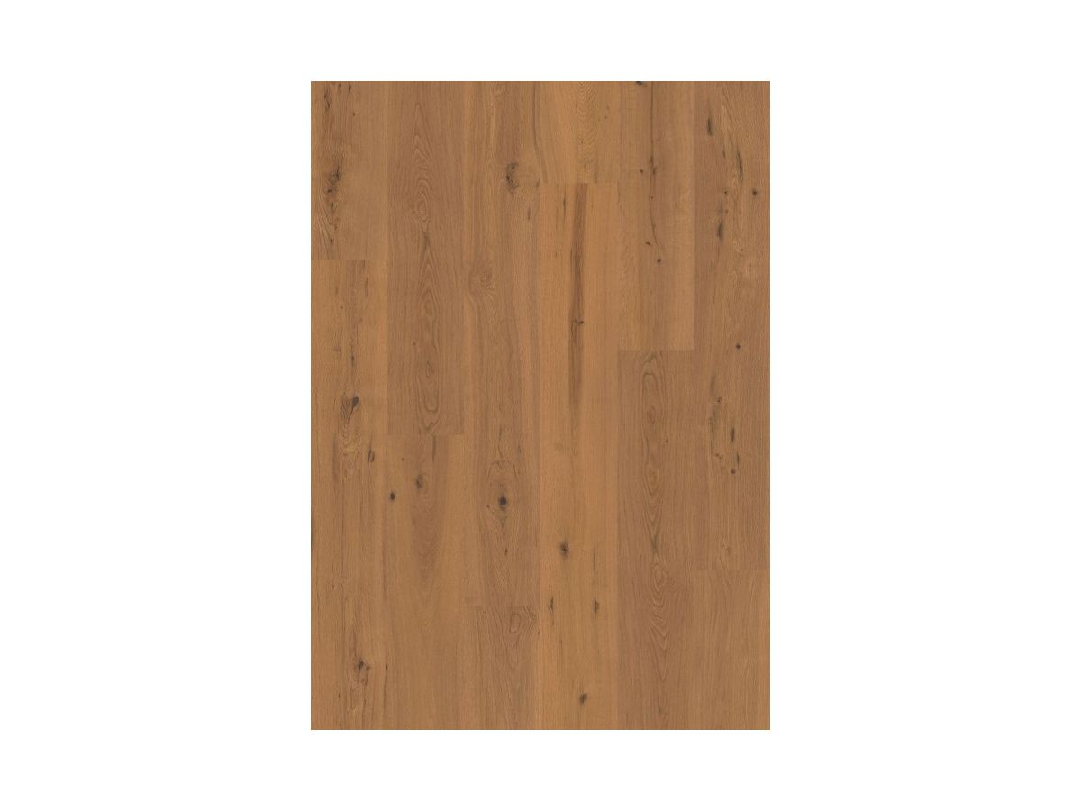 Design Korkboden Corelan Klebefliese Kalifornische Eiche Strukturiert glatte Kante HotCoating Lack
