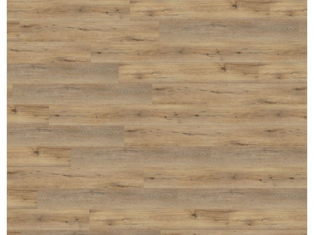 Designboden Vinyl Wineo 400 Rigid Klick Wood XL RLC126WXL Joy Oak Tender