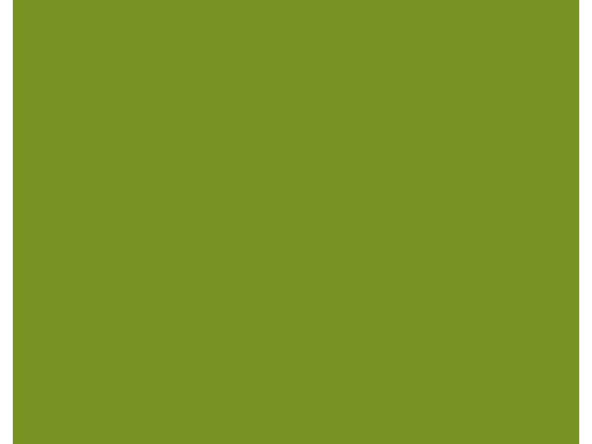 Fassade Platte Rockpanel Colors Standard RAL 095 50 50 A2 Brandklasse A2-s1,d0