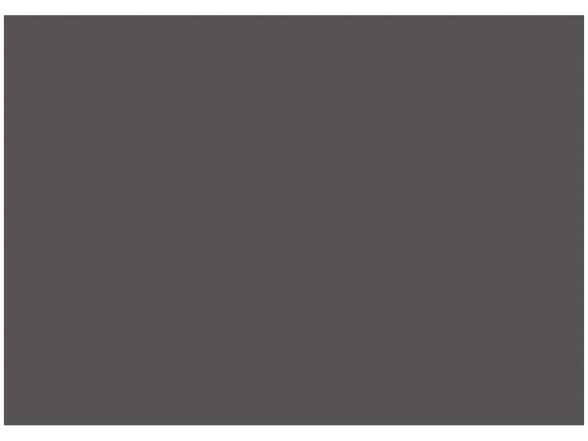 Spanplatte beschichtet 2-seitig Star Favorit F100 Graphitgrau AM AltoMatt Fundermax P2 Anti-Fingerprint