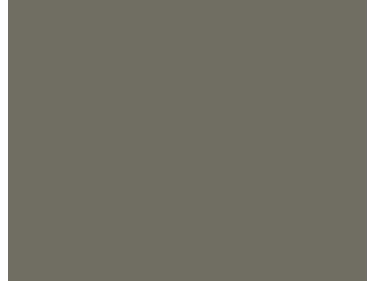 Fassade Platte Rockpanel Colors Standard RAL 060 50 05 A2 Brandklasse A2-s1,d0