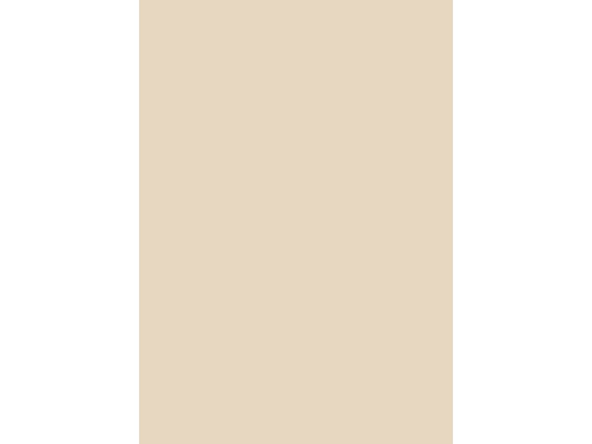 Schichtstoff Egger U156 Sandbeige ST9 Smoothtouch Matt