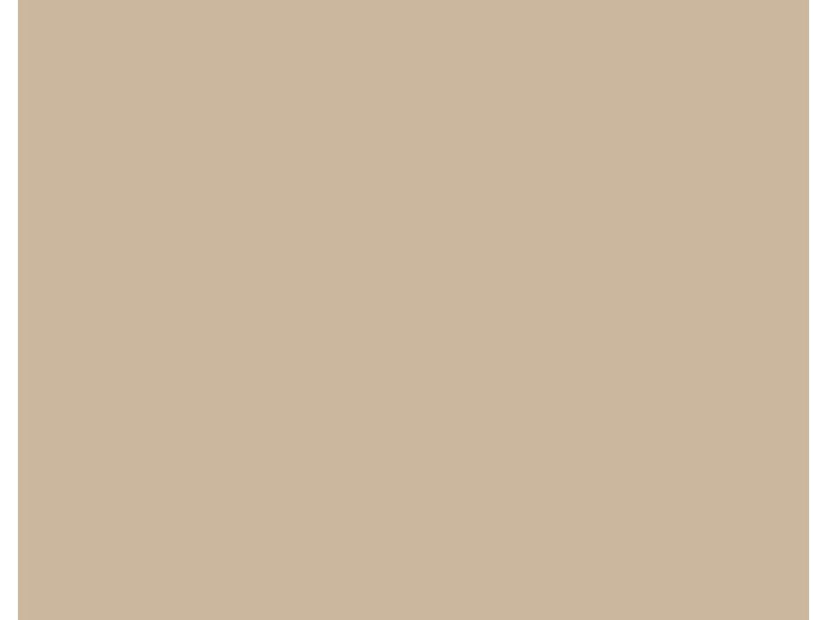Spanplatte beschichtet SwissDecor Uni U10010 Sesame Beige VL Velour SwissKrono P2 E1-D2020 Aufbau Einblatt