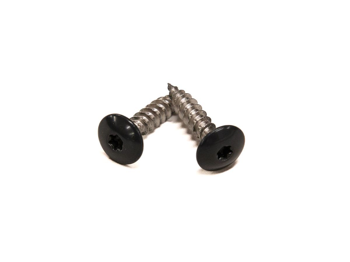 Fassadenschraube Torx T20 passend zu Resopal 191-60 anthrazit Paket à 100 Stk.