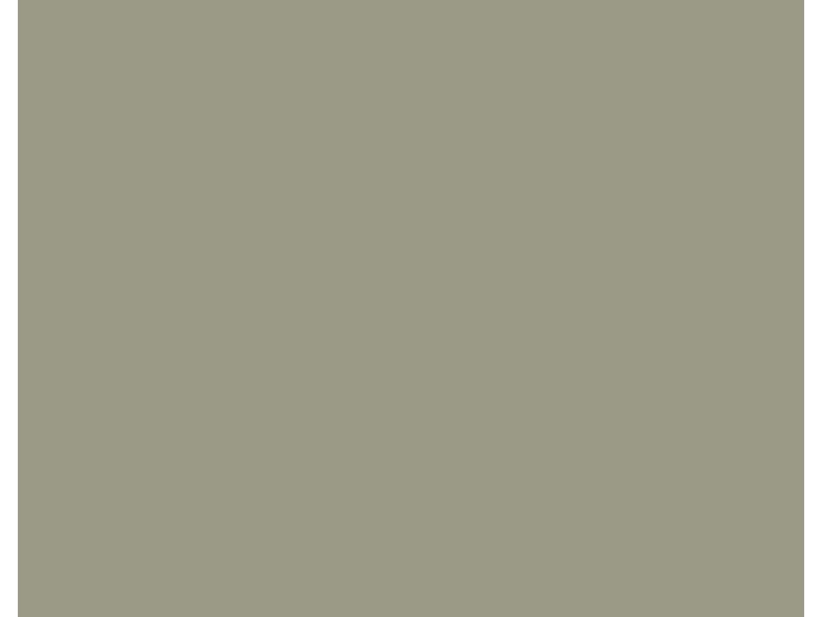 Fassadenplatte Rockpanel Colors Standard RAL 095 70 10 Durable RF1