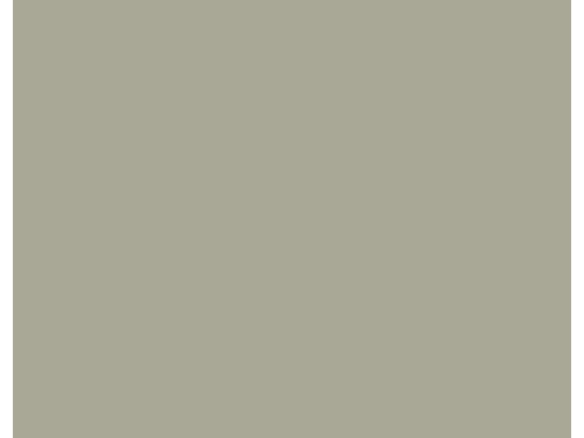 Fassade Platte Rockpanel Colors Standard RAL 060 70 05 A2 Brandklasse A2-s1,d0