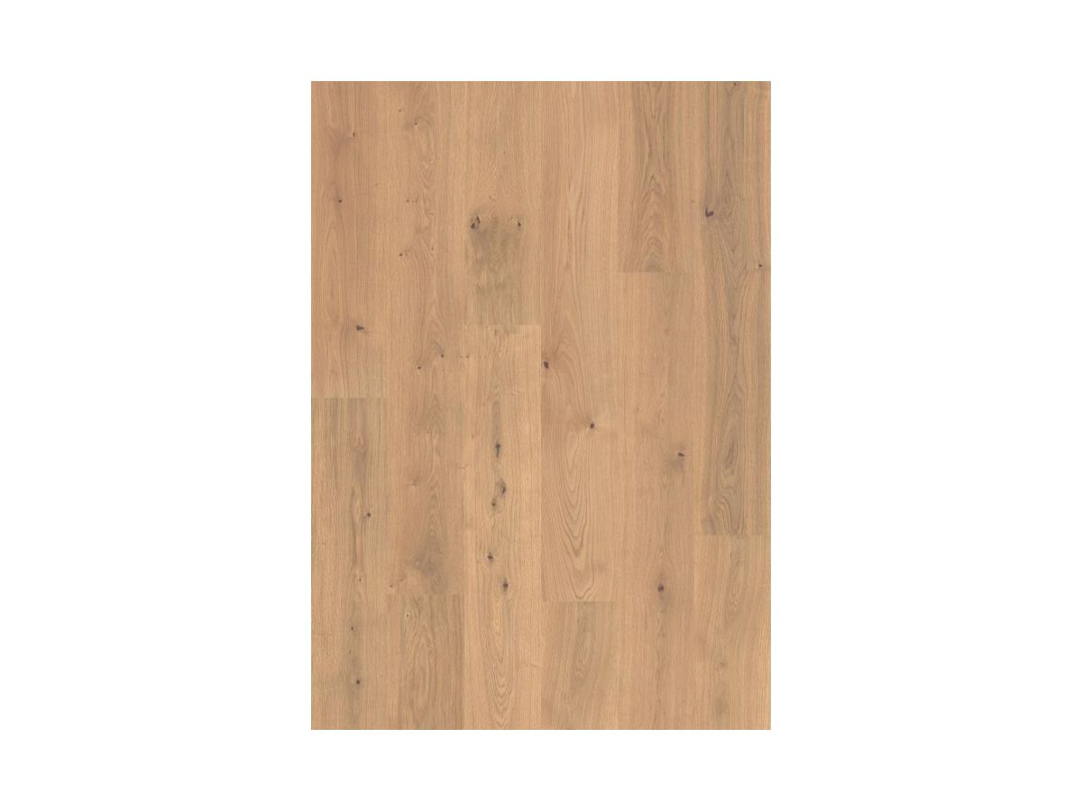 Design Korkboden Corelan Klebefliese Savoyer Eiche Strukturiert glatte Kante HotCoating Lack