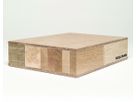 Türrohling EI30 JeldWen Alupan Allianza Deck Hartplatte Mittellage Mehrschichtig Einleimer Eiche keilgezinkt