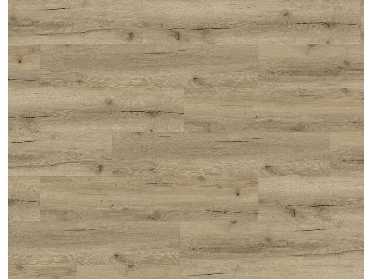 Designboden QUALIWOOD FORTIS Klebediele Eiche Lein Synchronprägung